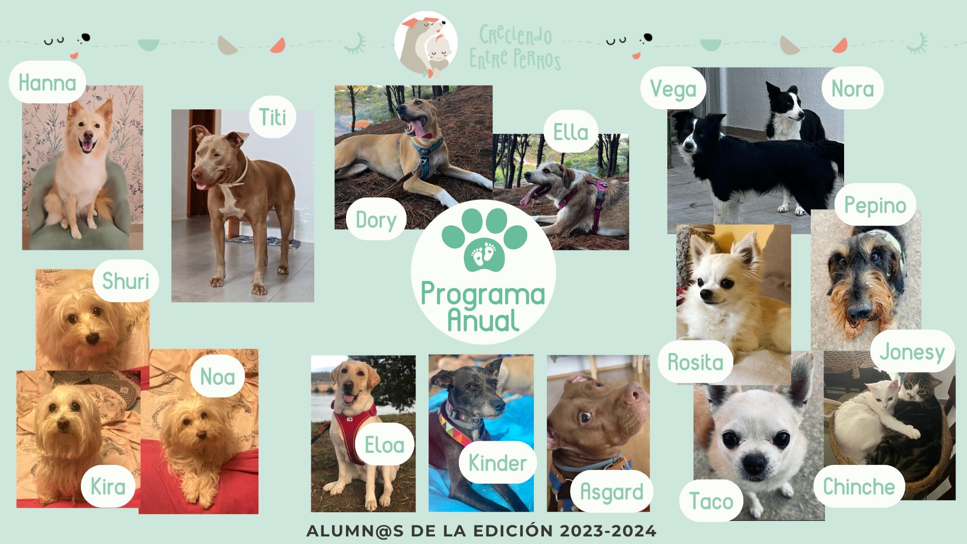 Perritos alumnos del Programa de Crianza Multiespecie, diapositiva 1