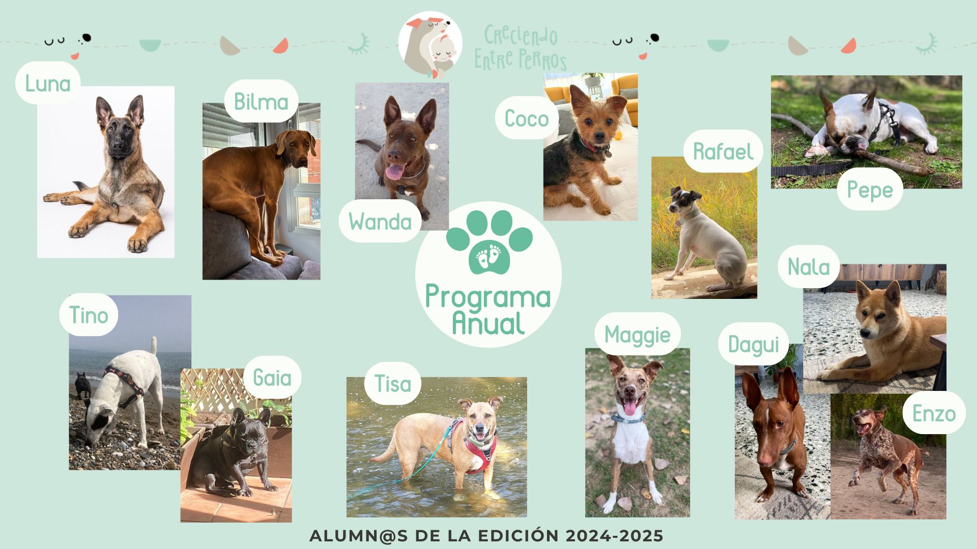 Perritos alumnos del Programa de Crianza Multiespecie, diapositiva 2