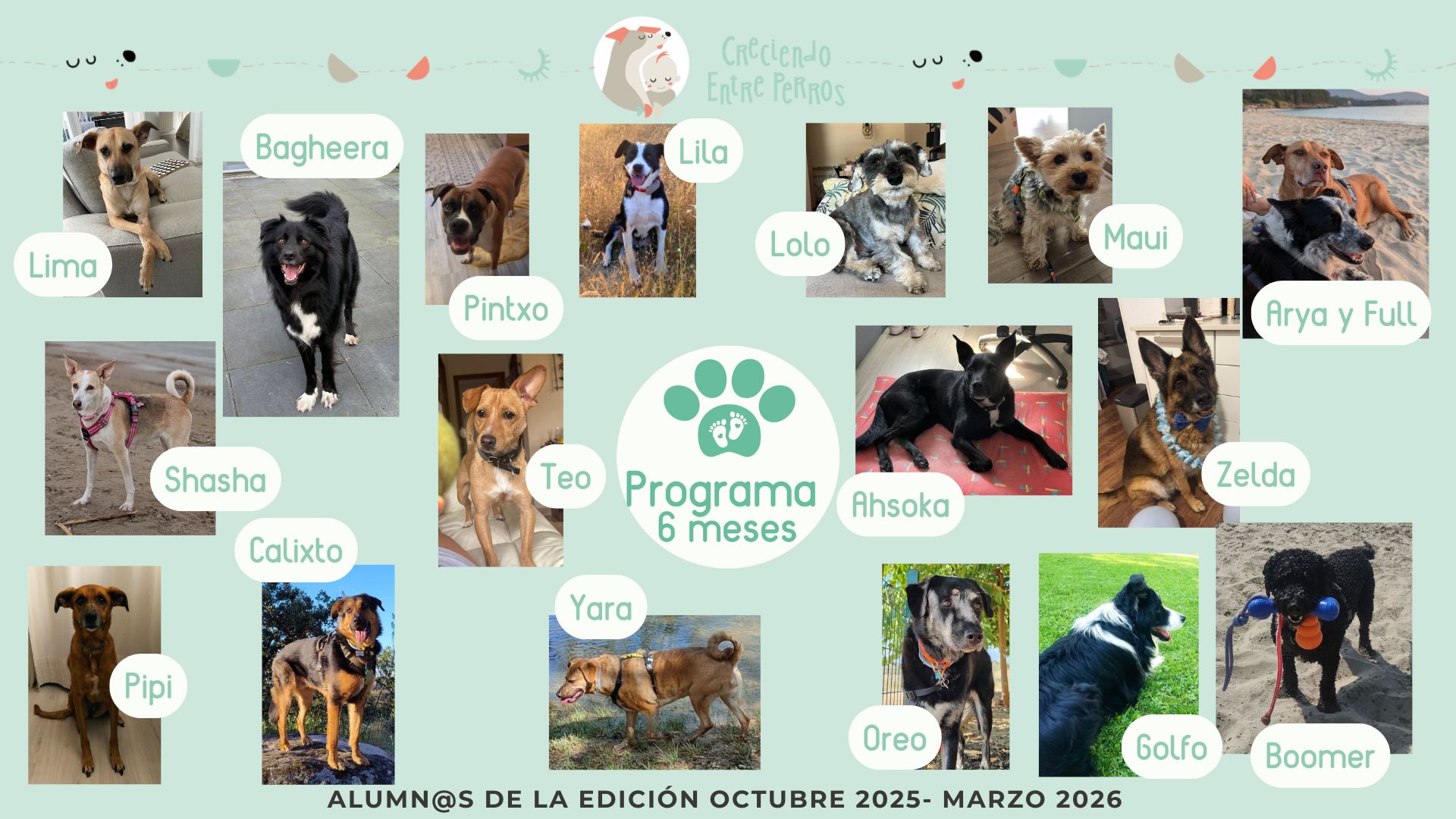 Perritos alumnos del Programa de Crianza Multiespecie, diapositiva 3