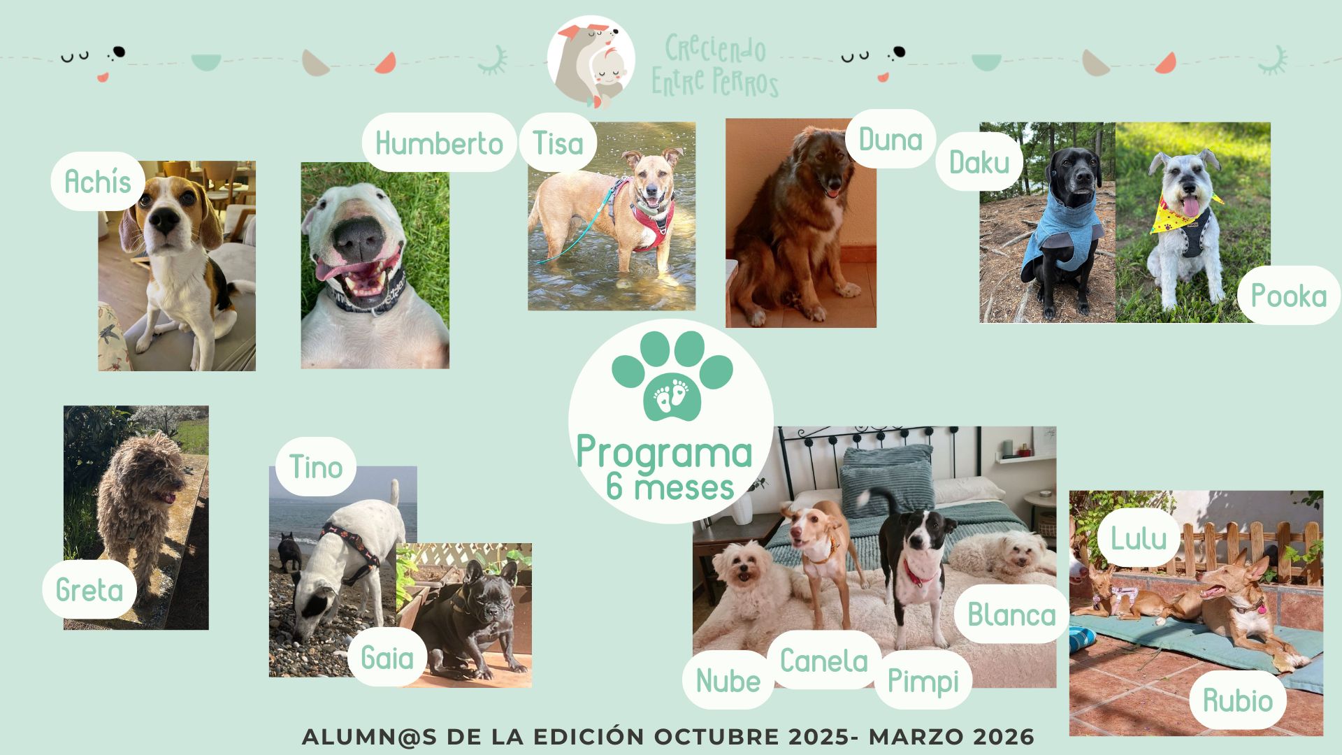 Perritos alumnos del Programa de Crianza Multiespecie, diapositiva 4