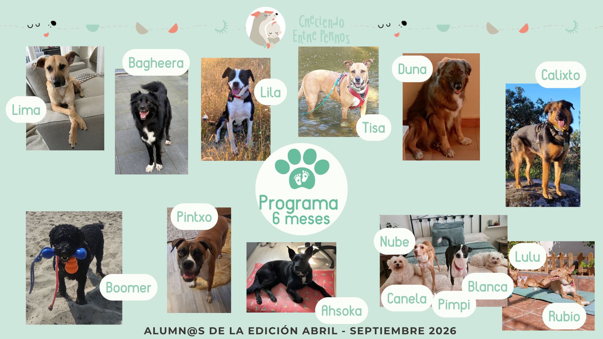 Perritos alumnos del Programa de Crianza Multiespecie, diapositiva 5