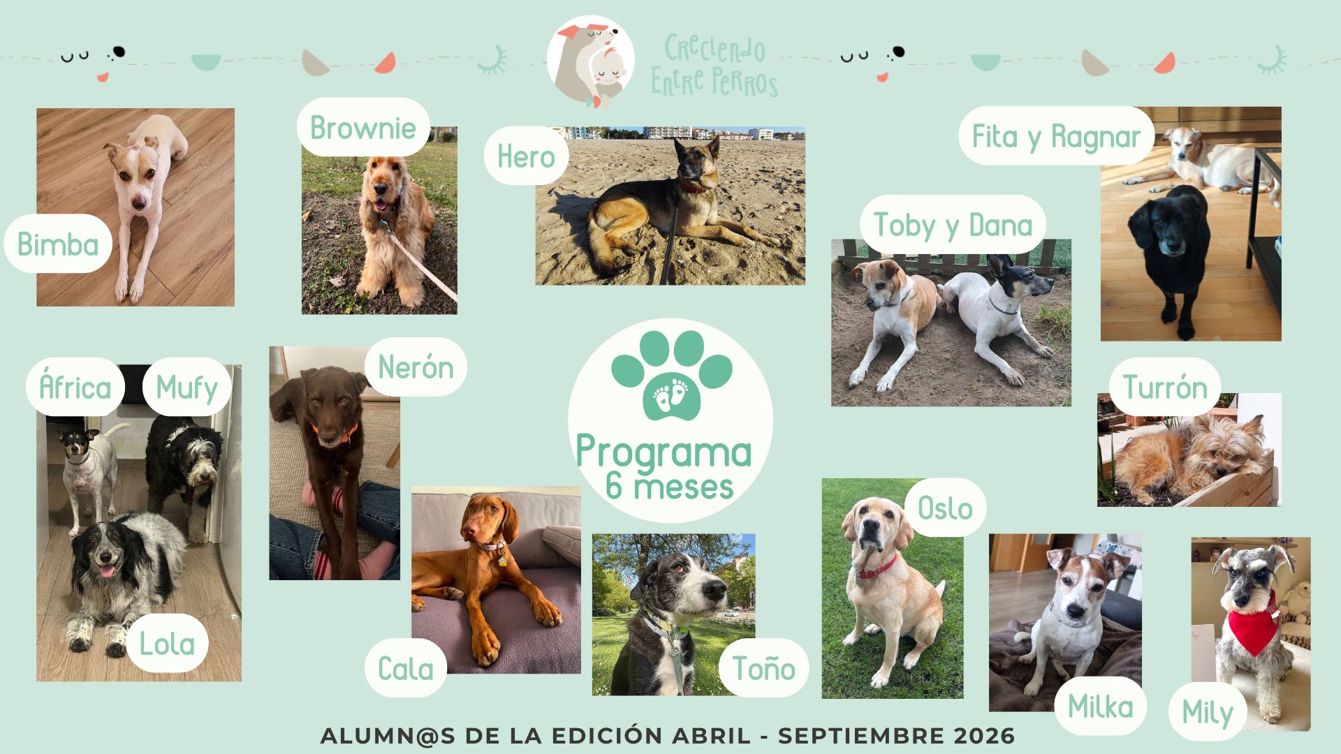 Perritos alumnos del Programa de Crianza Multiespecie, diapositiva 6