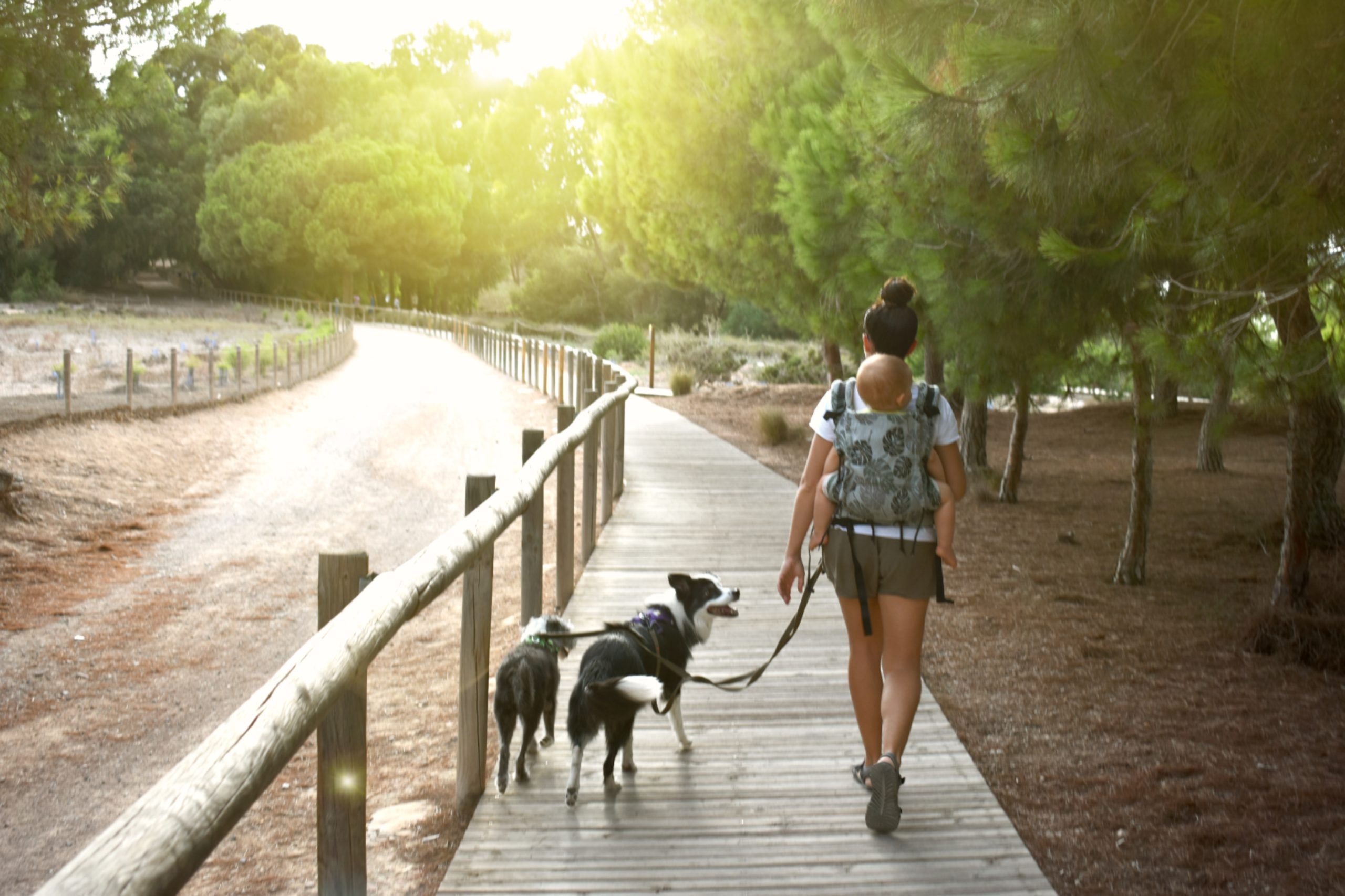 Tamara paseando con su peque y sus perros