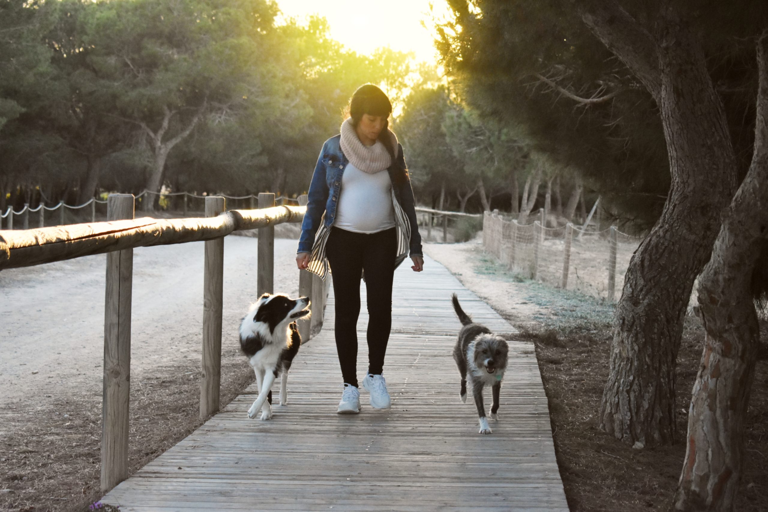 Tamara embarazada paseando con sus perros