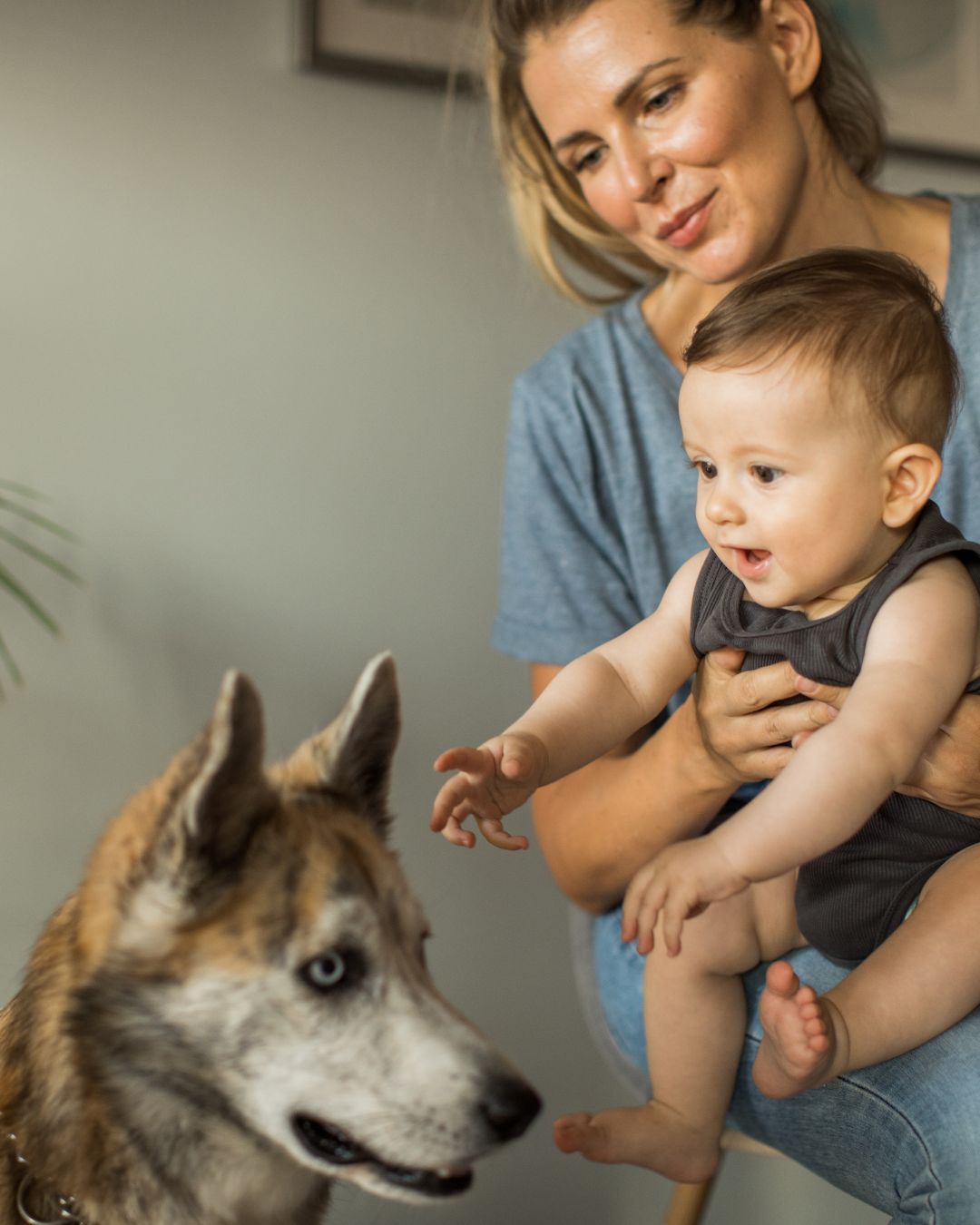 Madre sosteniendo a su bebé mientras ambos miran al perro